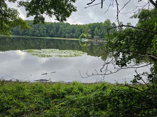 Um den Großen Lienewitzsee