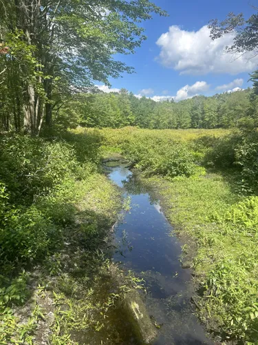 Frontenac Provincial Park hiking trails