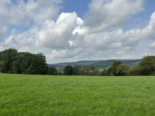 Bergmähwiesenpfad (Premiumwanderweg)