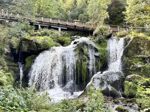 Short walks in the black outlet forest