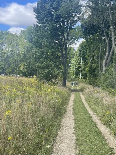 Grand River Fen Preserve  The Nature Conservancy in MI