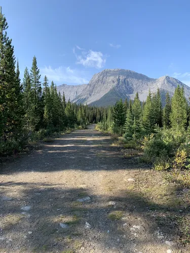 Mount Shark Trailhead Provincial Recreation Area : les meilleures ...
