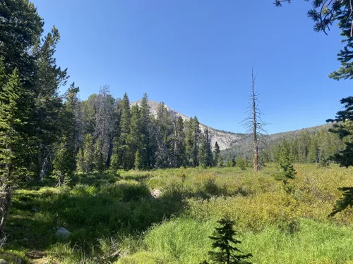 First Time in Shoshone National Forest