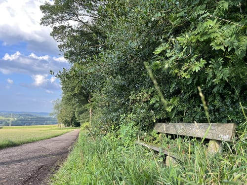 Kreiswald