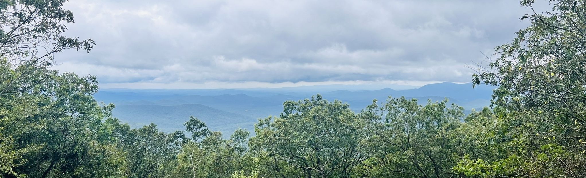 Springer Mountain Via Appalachian Trail And Benton MacKaye Trail ...