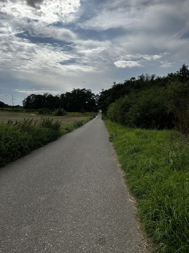 Rund um die Berghalde Carl-Alexander