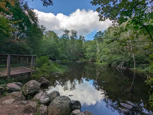 Best Hikes And Trails In Devil's Hopyard State Park 