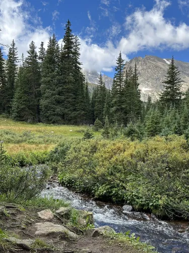 10 Best Hikes and Trails in Roosevelt National Forest | AllTrails