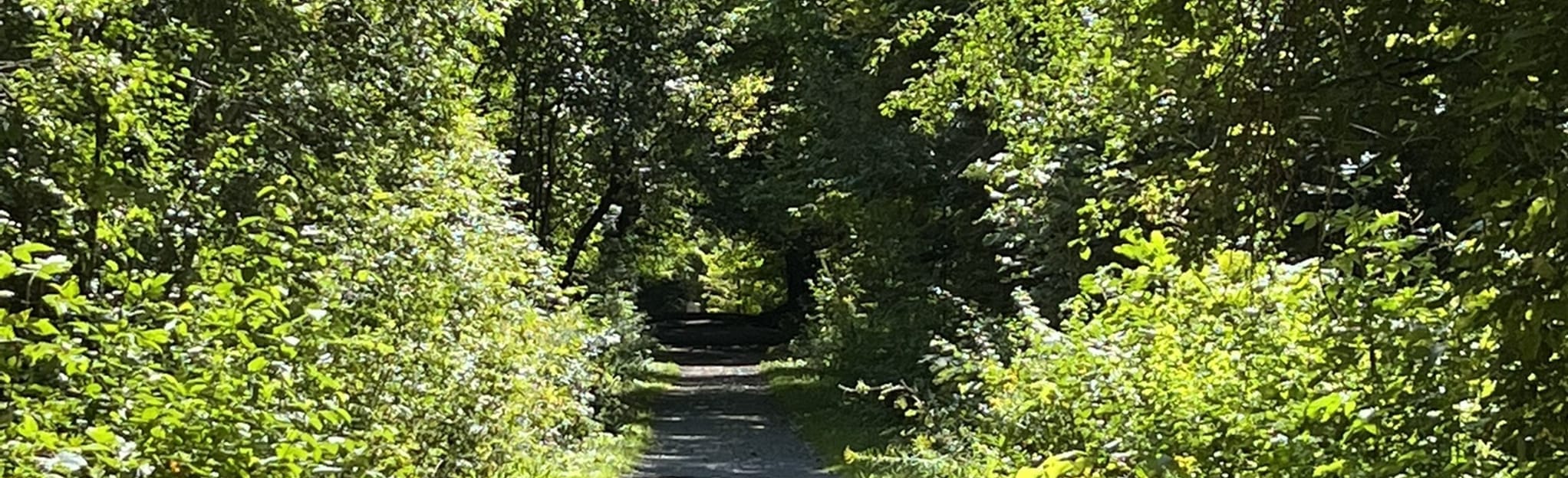 Fort Drum Trails, New York 83 Reviews, Map AllTrails