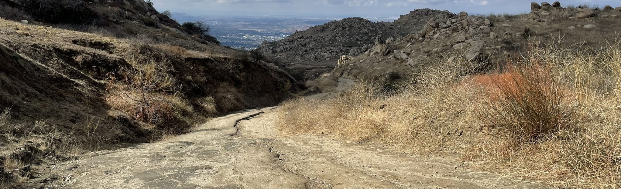 Box Springs Mountain Loop, California 144 Reviews, Map AllTrails