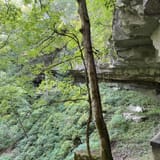 Cedar Sink Trail, Kentucky - 877 Reviews, Map | AllTrails