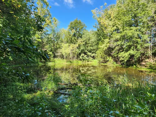 Best Hikes and Trails in August A Busch Memorial Conservation Area ...