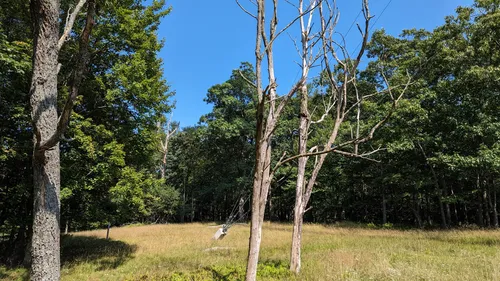 Deep creek best sale lake mountain biking