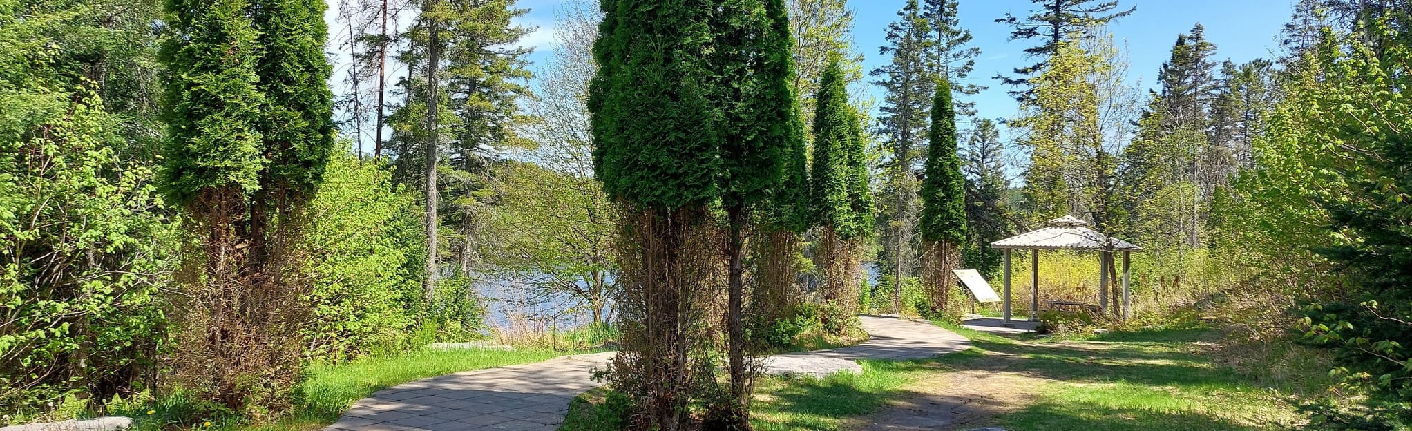 ChuteàCaron Trail 4 foto's Quebec, Canada Wandelen AllTrails