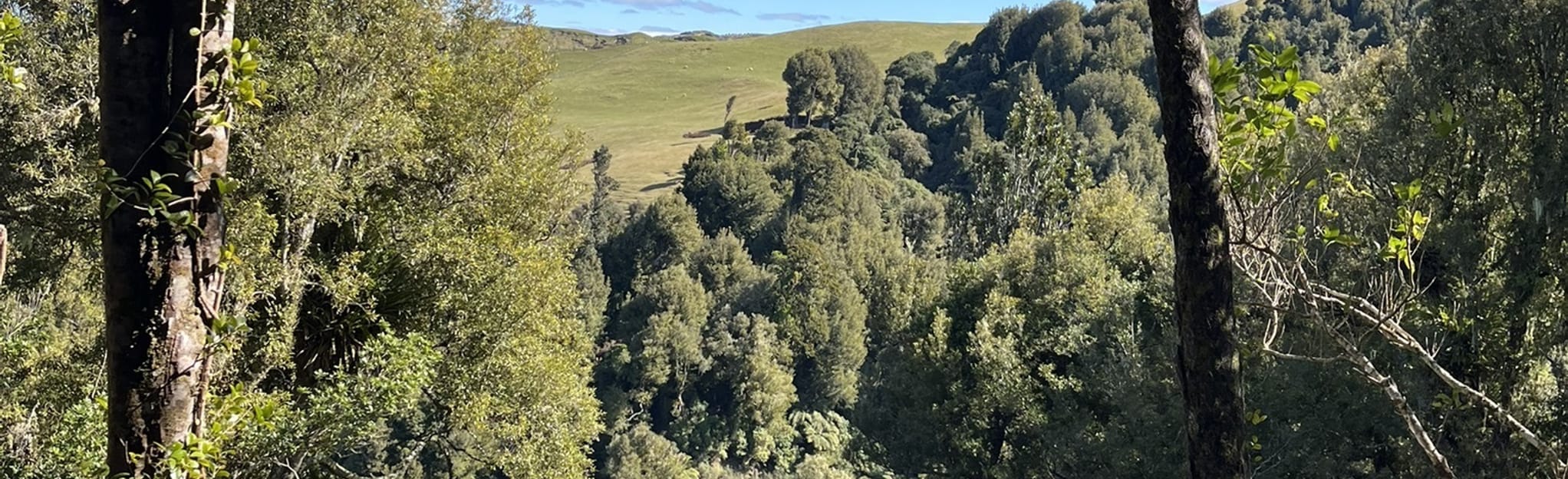 Waitahinga Dam Loop, Manawatu-Wanganui, New Zealand - 28 Reviews, Map ...