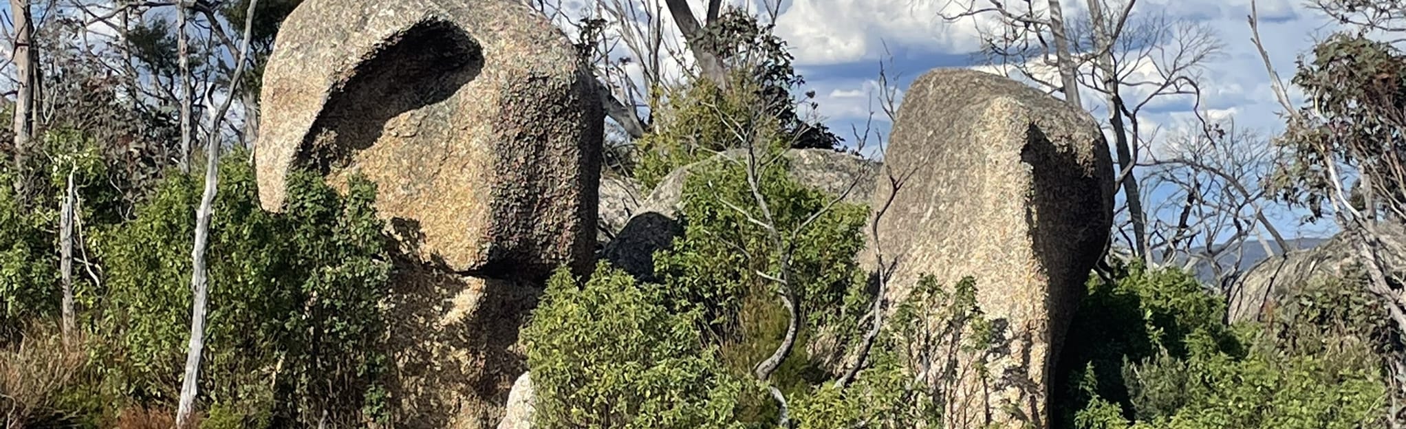 Bald Rock, New South Wales, Australia 53 Reviews, Map AllTrails