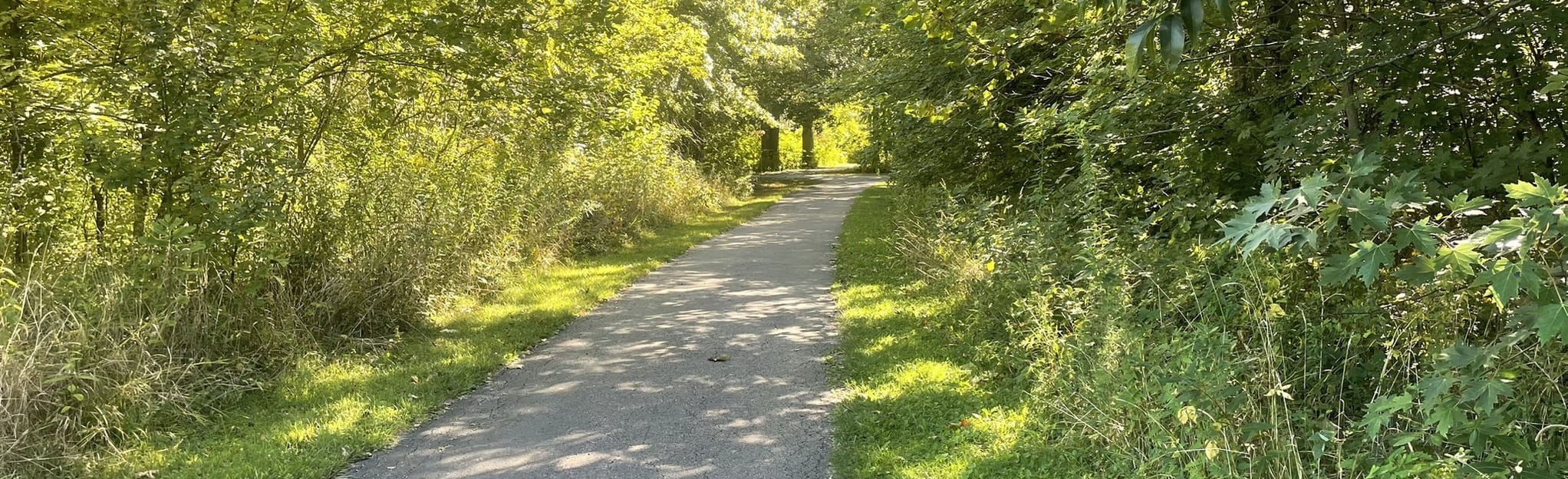 Thompson Park Loop 59 Reviews, Map Ohio AllTrails