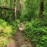 Twin Creeks Trail, Tennessee - 1,106 Reviews, Map | AllTrails