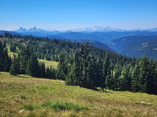 Heather trail 2024 manning park