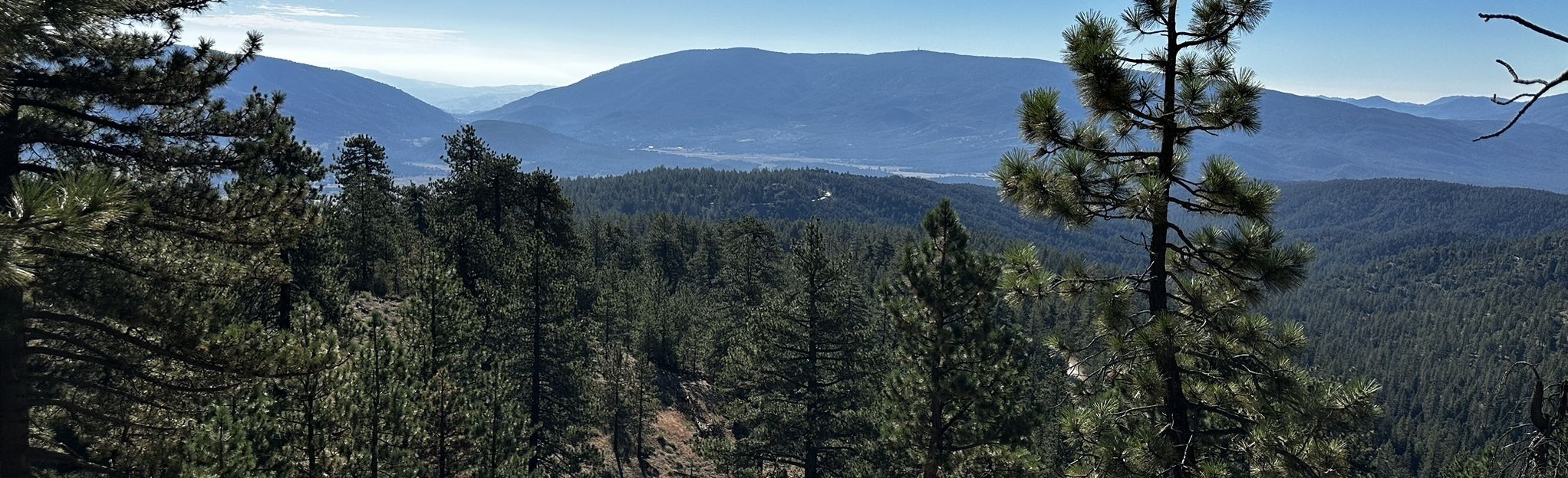 Mount Pinos MTB Trail (Downhill), California - 106 Reviews, Map | AllTrails