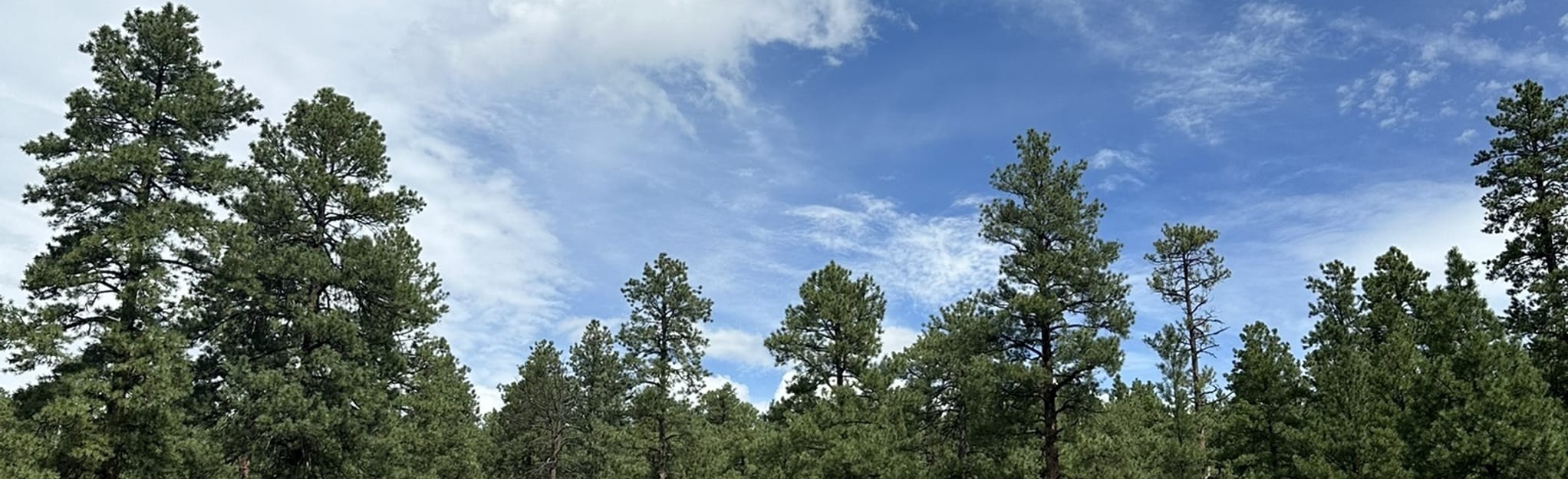 Observatory Mesa Trail, Arizona 524 Reviews, Map AllTrails