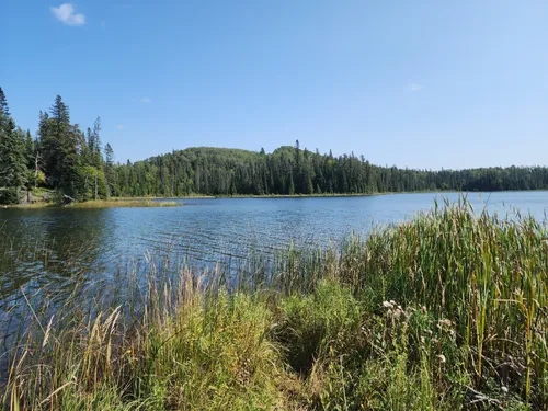 10 Best Fishing Trails in Duck Mountain Provincial Park | AllTrails