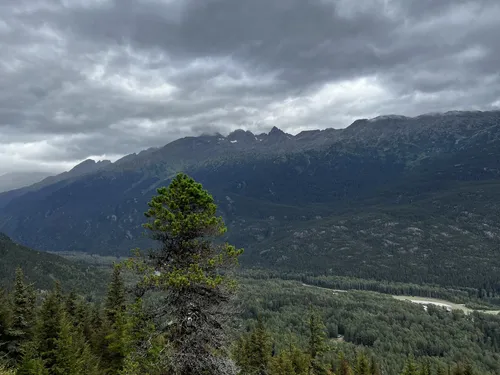 5 LB JACKPOT PAYDIRT ™ Gold Panning Concentrate - Find Nuggets Flakes Specimen E - Foto 2