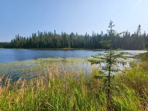 Best Hikes And Trails In Lesser Slave Lake Provincial Park Alltrails 2718