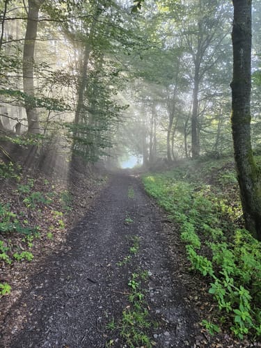 Löffelsberg Runde