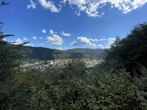 Rundwanderweg Parkplatz Schloss Hirschhorn 7: Zur Brunnenstube