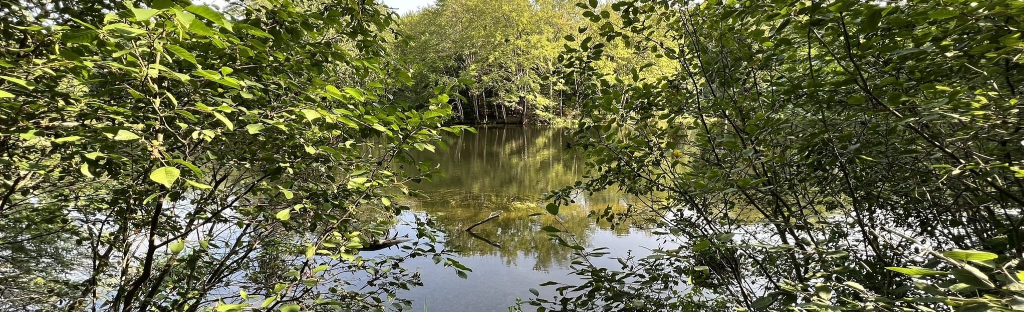 Nature Loop Trail 150 Reviews, Map Maine AllTrails
