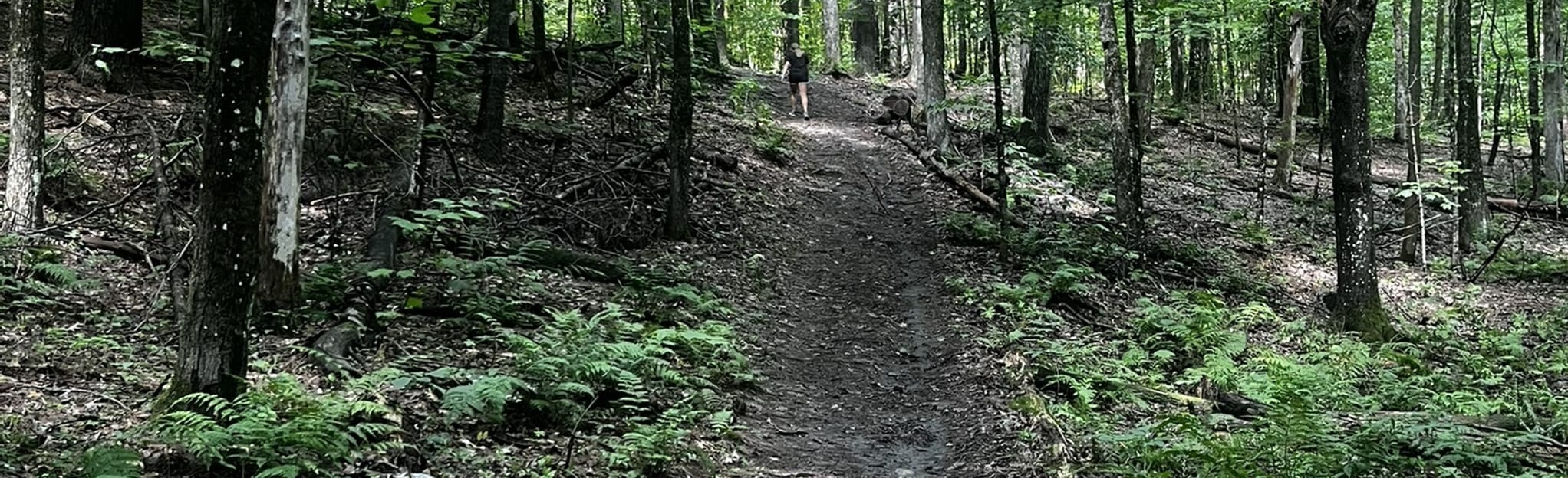 Beacon Hill Loop, Vermont 197 Reviews, Map AllTrails
