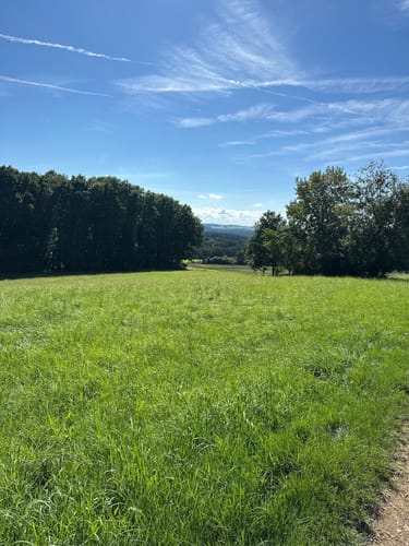 Rundweg Kirchröttenbach – Epperlesberg