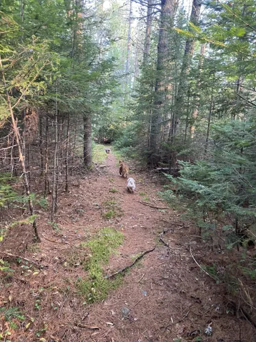 Best Hikes and Trails in Moosehorn National Wildlife Refuge | AllTrails