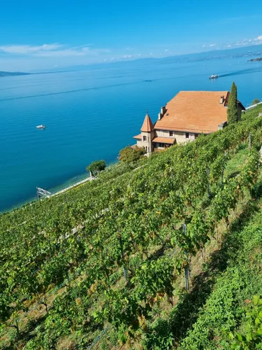 2023 Best Forest Trails in Corseaux AllTrails