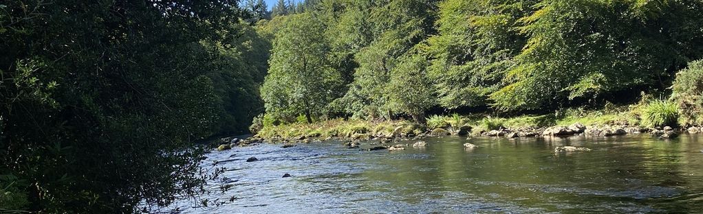 mappa del fiume alsea oregon