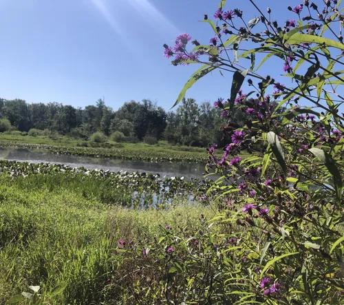 Historic Serenity: 5 Beautiful Hiking Trails in Hanover – Virginia