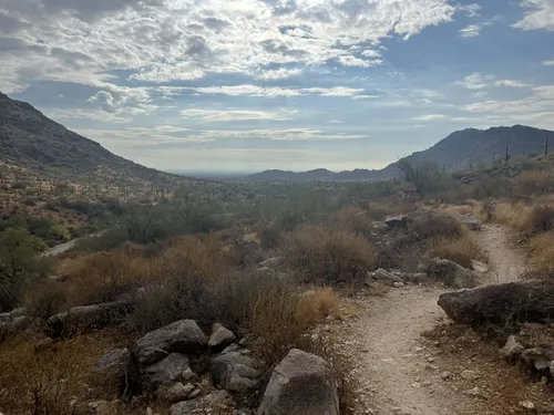 White tank 2025 mountain bike trails