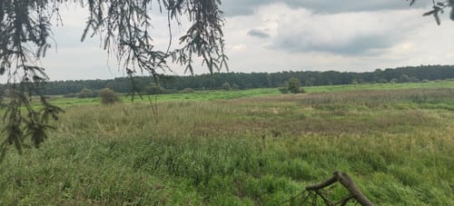 Leinetal ab Neustadt am Rübenberge