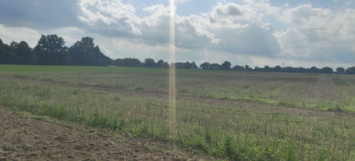 Leinetal ab Neustadt am Rübenberge