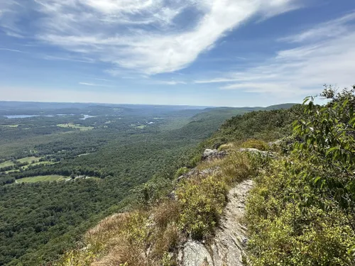 10 Best Hikes and Trails in Mount Washington State Forest | AllTrails