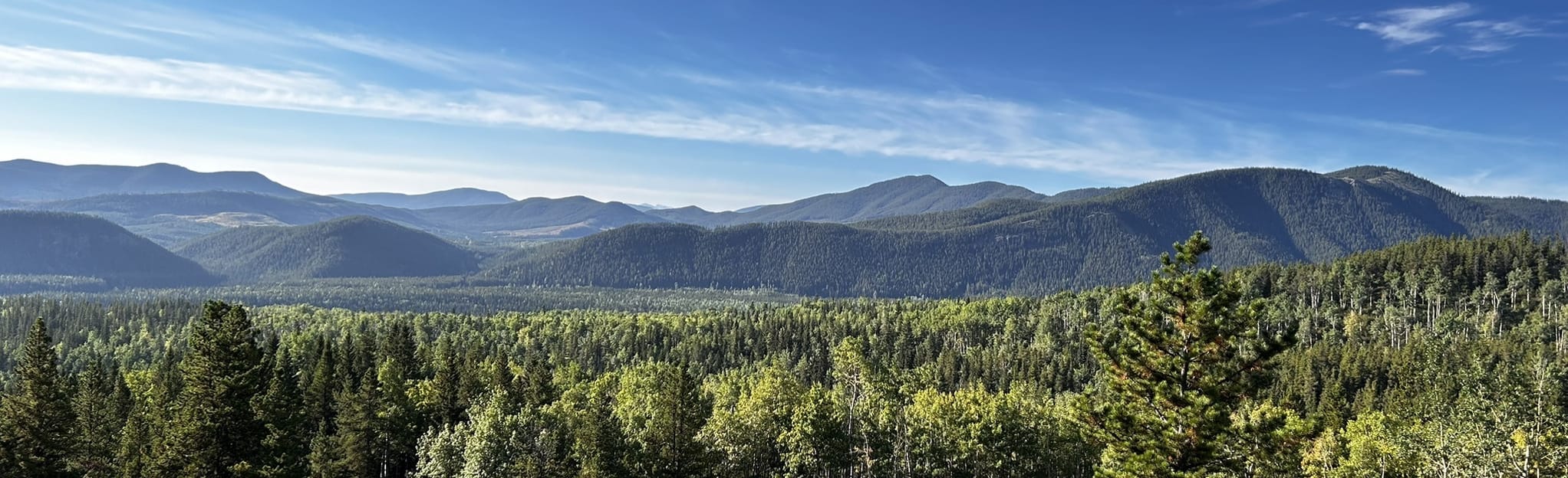 Elbow Valley Trail Riverview Trail 567 Reviews, Map Alberta