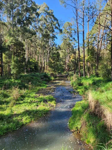 Best Hikes and Trails in Morwell National Park | AllTrails