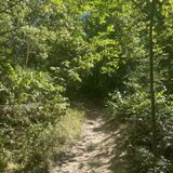 Bee Tree Lake Loop, Missouri - 507 Reviews, Map | AllTrails