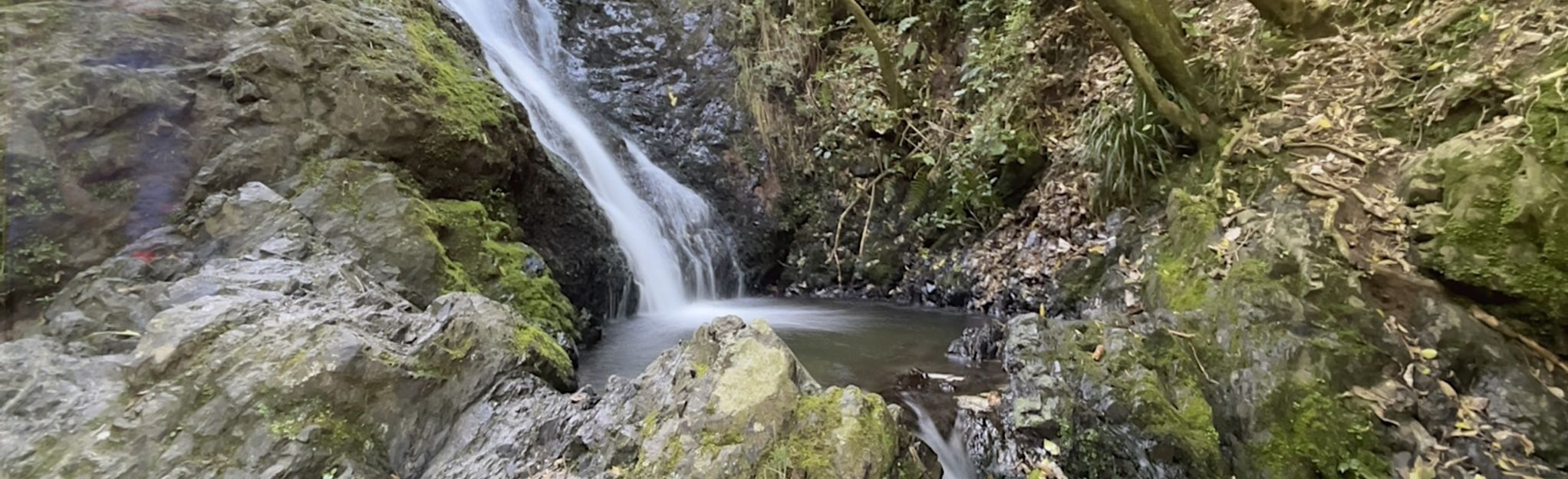 Seton Nossiter Park Waterfall from White Pine Avenue, Wellington, New ...