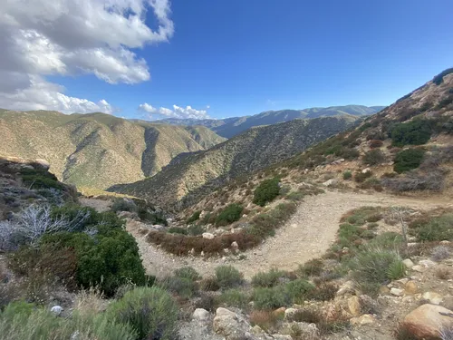 10 Best Backpacking Trails in Anza Borrego Desert State Park