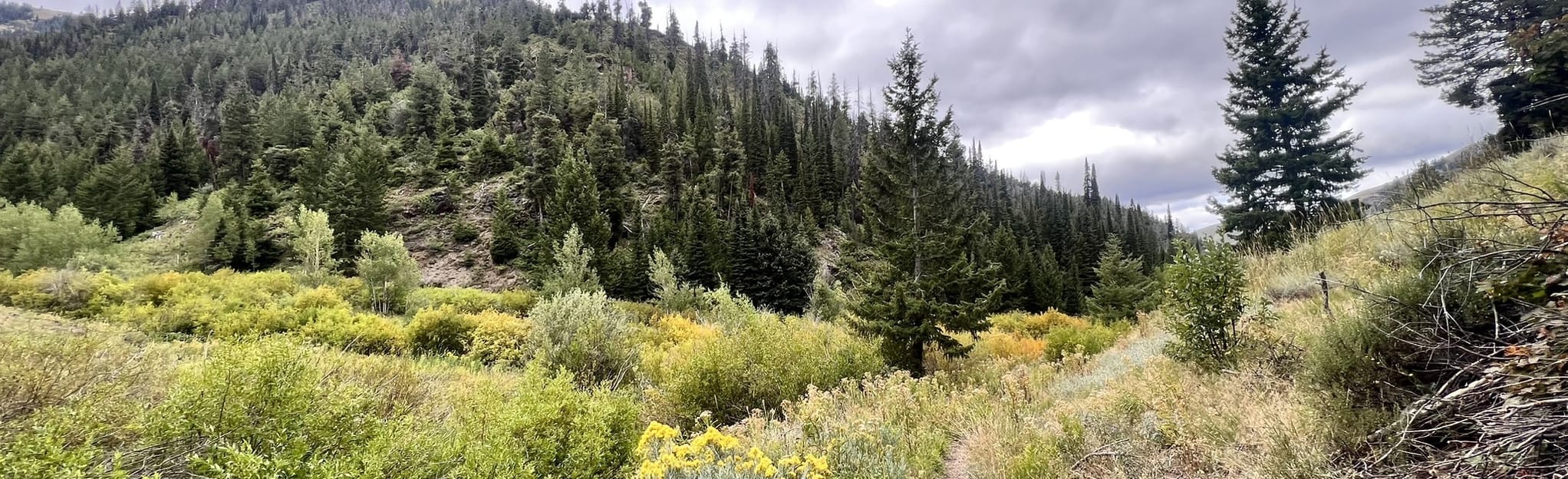 Grays Peak, Idaho 18 Reviews, Map AllTrails