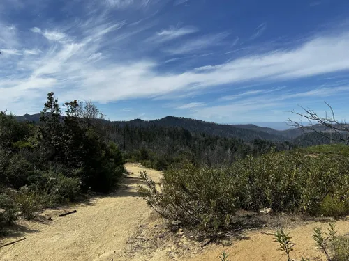 Big basin 2024 best hikes