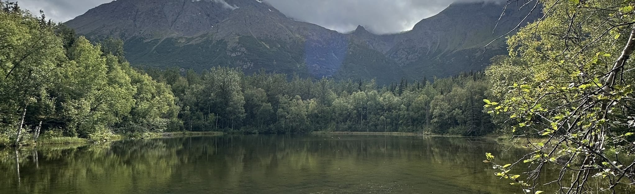 Dew Mound Loop, Alaska - 357 Reviews, Map | AllTrails