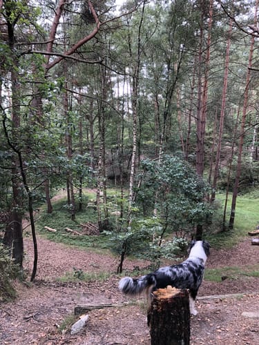 Nordpfad Kempowskis Idylle